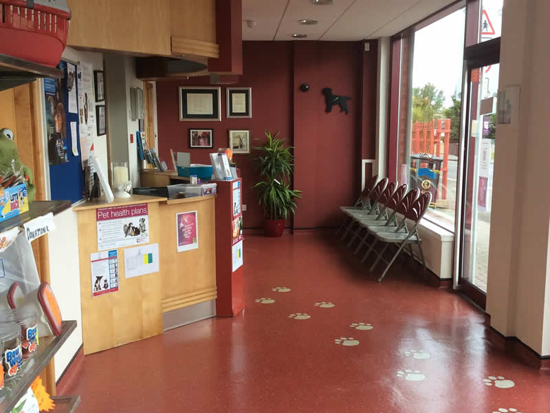 Waiting Room Brannock Vet Clinic Motherwell