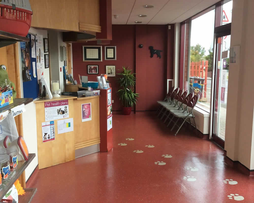 Brannock Vet Clinic Motherwell waiting room